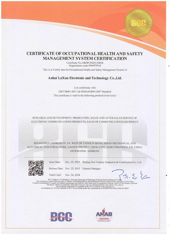 Certificado de segurança e saúde ocupacional sistema de gestão de certificação
